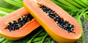 Papaya