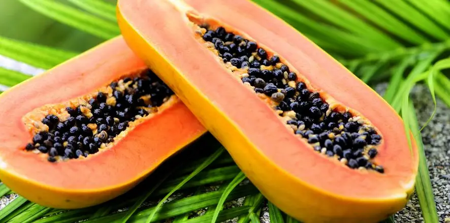 Papaya